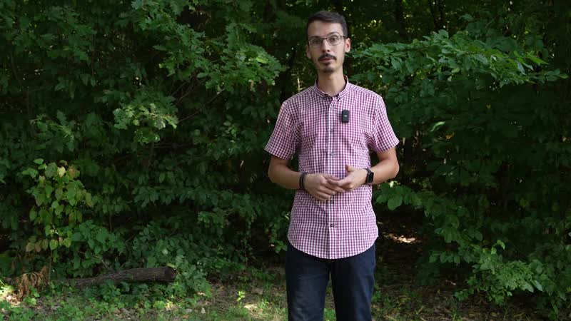 1. A gyógynövényekről - bevezető